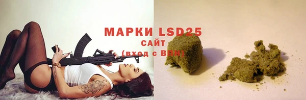 прущие грибы Балахна