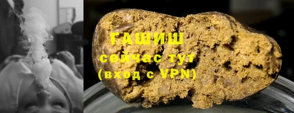 прущие грибы Балахна