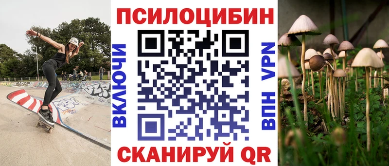 Купить закладки  Аркадак  Псилоцибиновые грибы Psilocybine cubensis 